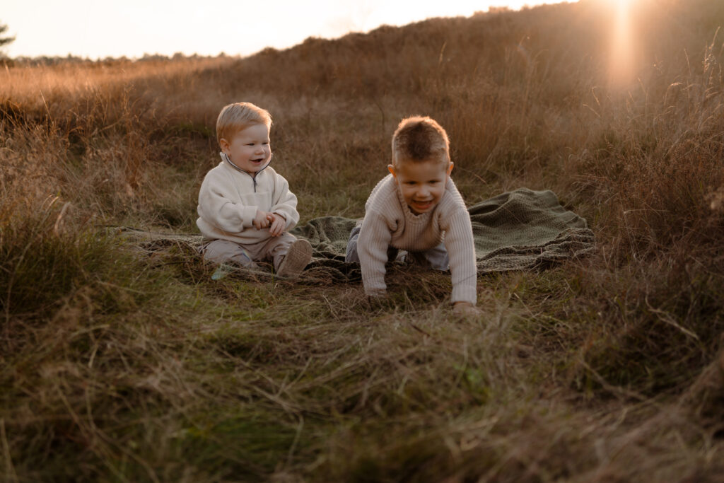 twee jongetjes zitten tussen de heide en spelen tijdens een gezinsshoot in de herfst